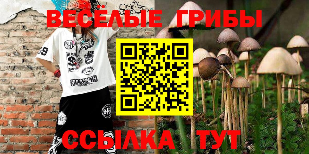 Псилоцибиновые грибы Psilocybine cubensis  Галлюциногенные грибы Psilocybine cubensis  Вход с VPN  Старая Русса 